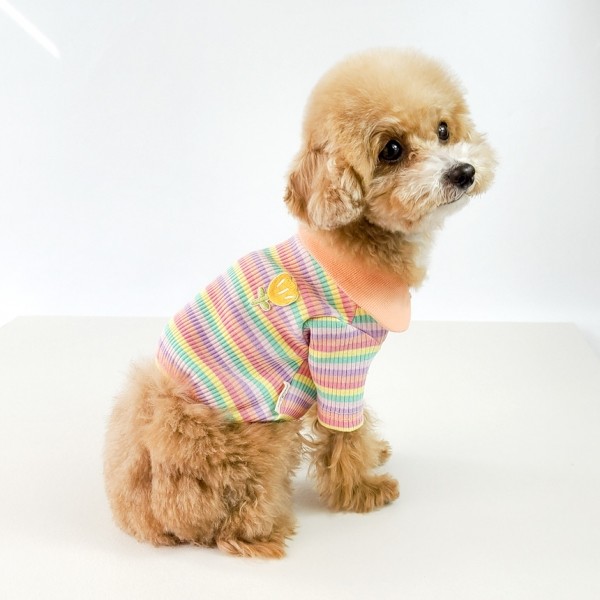 페오펫몰,그루밍독 반려동물 레인보우 배색 카라 티셔츠 S-2XL, 2 colors