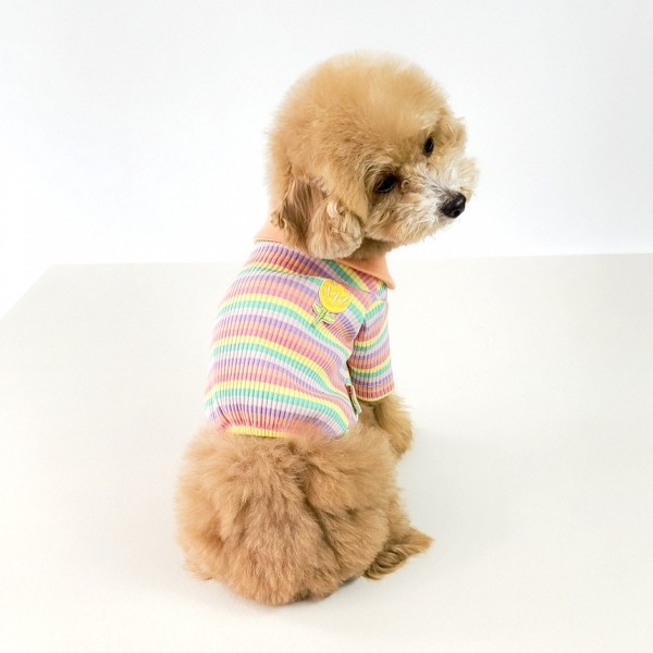 페오펫몰,그루밍독 반려동물 레인보우 배색 카라 티셔츠 S-2XL, 2 colors