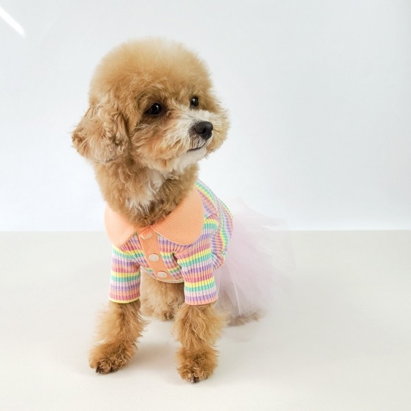 페오펫몰,그루밍독 반려동물 레인보우 배색 카라 티셔츠 S-2XL, 2 colors