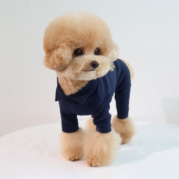 페오펫몰,그루밍독 반려동물 용무늬 한복 올인원 S-XL, 2 colors