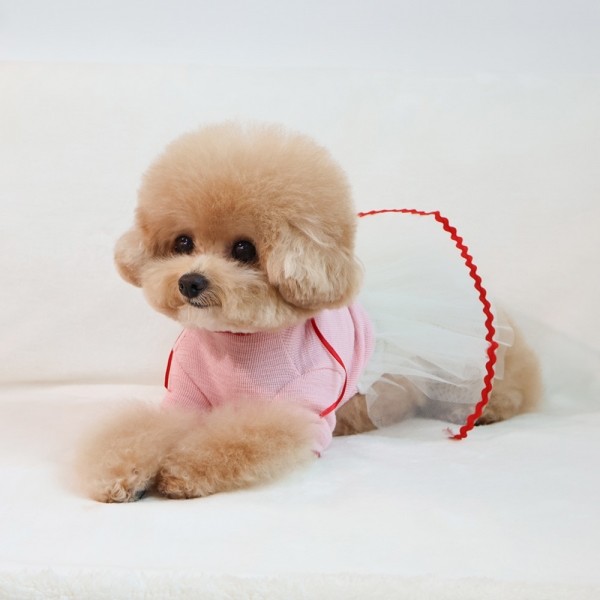 페오펫몰,그루밍독 반려동물 롱리본 튜튜 원피스 S-XL, 2colors