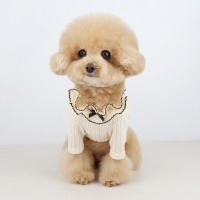 그루밍독 반려동물 라떼 리본티 S-2XL, 2 colors