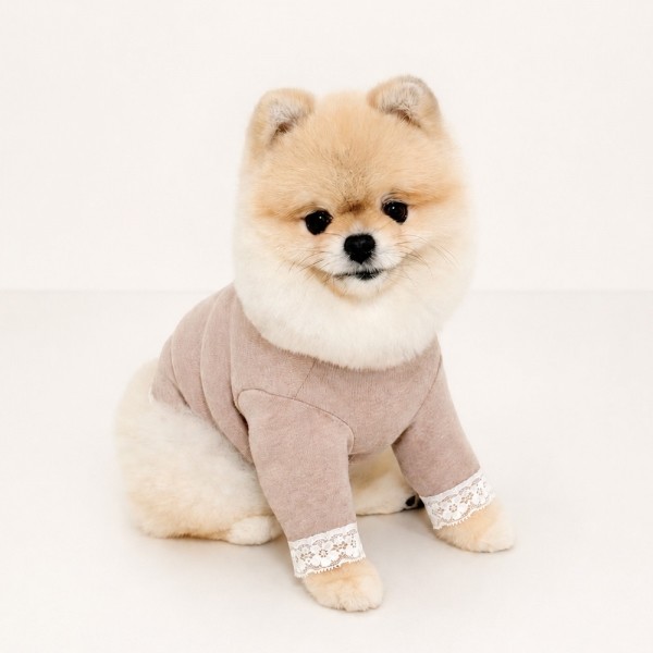 그루밍독 반려동물 가을이너 레이스 티셔츠 S-2XL, 3 colors