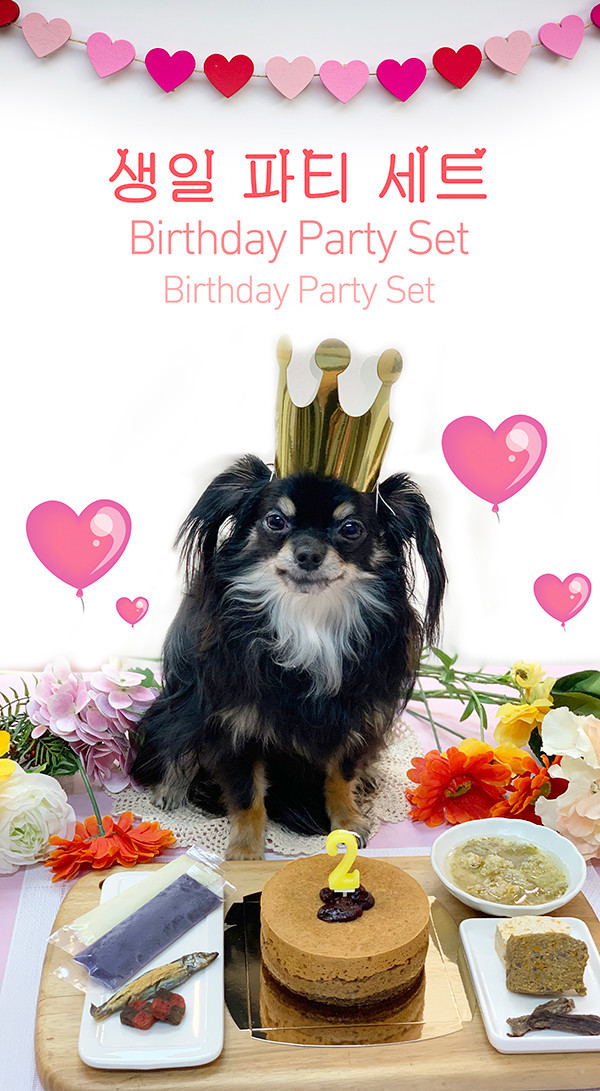 페오펫몰,봉봉맘 강아지생일파티세트(케익+미역국) 캥거루고구마케익/블루베리치즈케익 2종 선택, 황태미역국/소고기미역국 2종 선택 강아지생일파티세트 강아지생일