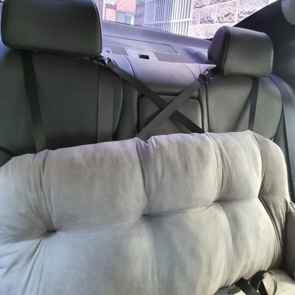 페오펫몰,댕댕이가게 극세사 강아지 애견 카시트