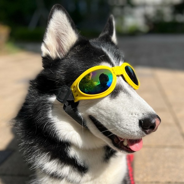 페오펫몰,댕댕이가게 강아지 애견 자외선차단 선글라스