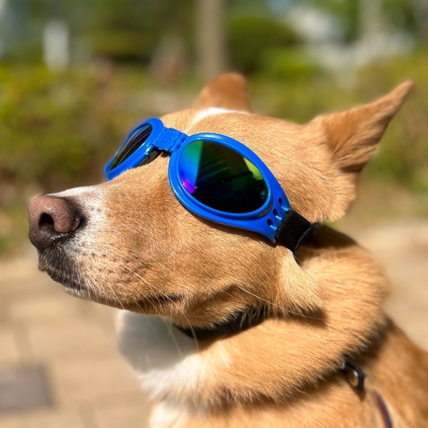 페오펫몰,댕댕이가게 강아지 애견 자외선차단 선글라스