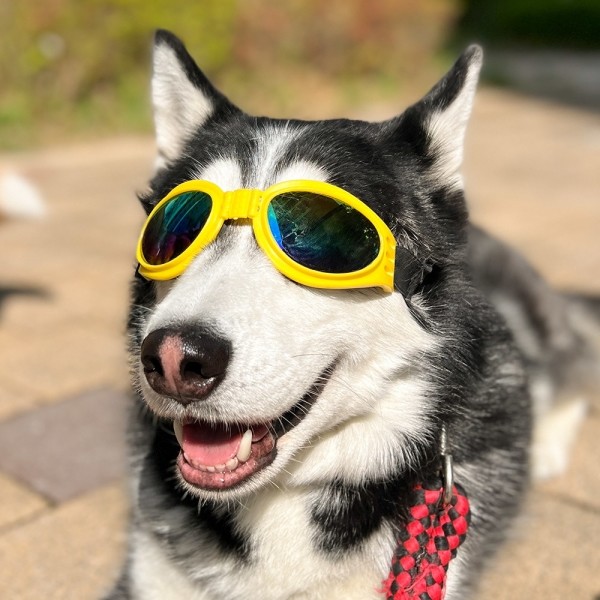 페오펫몰,댕댕이가게 강아지 애견 자외선차단 선글라스