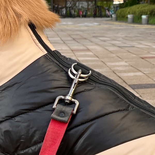 페오펫몰,[보온 200%] 멍장군 강아지 애견 중형견 대형견 패딩