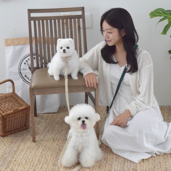 페오펫몰,[핸즈프리] 멍보스 프리미엄 강아지 애견 앞섬방지 다견 리드줄