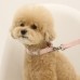 썸네일(스크롤)