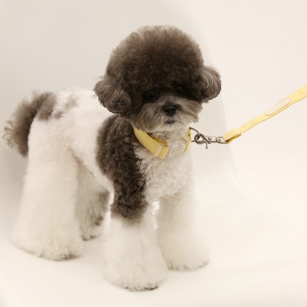 페오펫몰,[리토가토] 코튼캔디 리드줄 1.5m