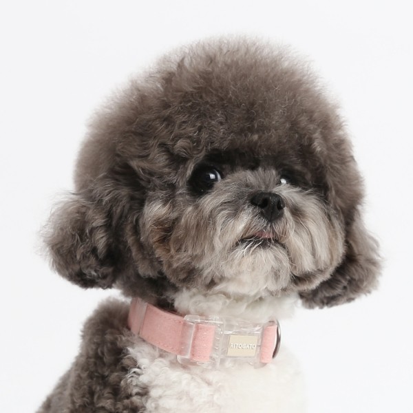 페오펫몰,[리토가토] 러비 목줄 - 5 color