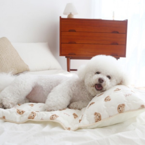 페오펫몰,[리토가토] 아이스베어 인견 쿨매트