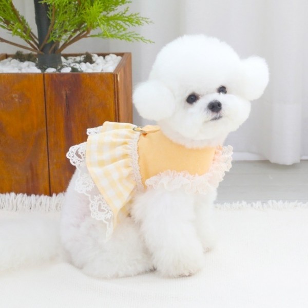 페오펫몰,[리토가토] 해피아워 하네스