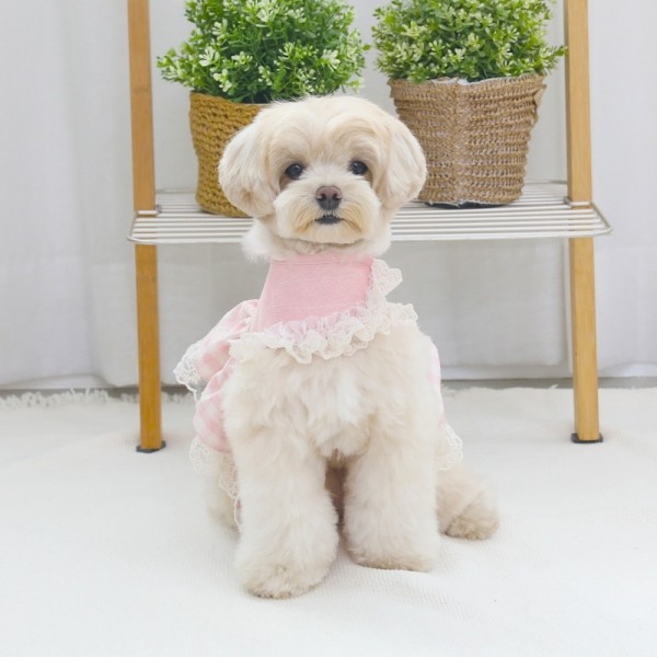 페오펫몰,[리토가토] 해피아워 하네스