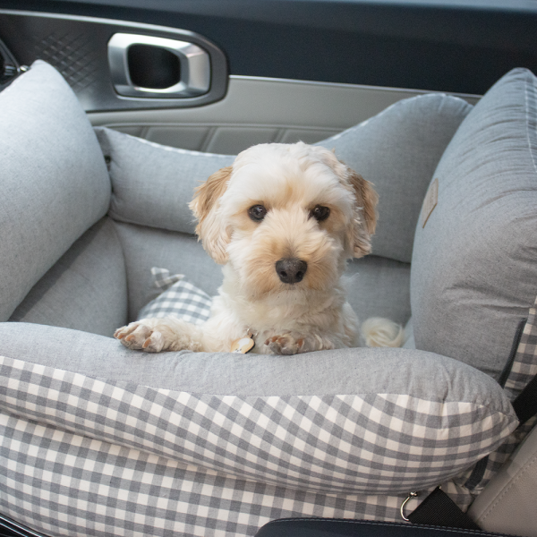 페오펫몰,[리토가토] 스마트 반려동물 카시트 (커버분리형)