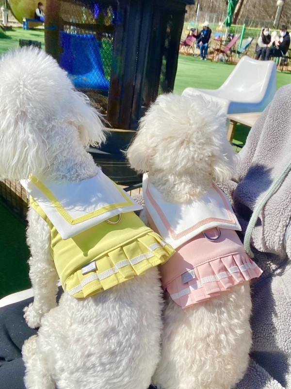 페오펫몰,강아지 세라복 유치원복 단체복 하네스 가슴줄 의류형하네스