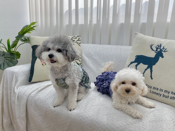 페오펫몰,강아지 에스닉원피스 커플룩 냉장고 여름원피스