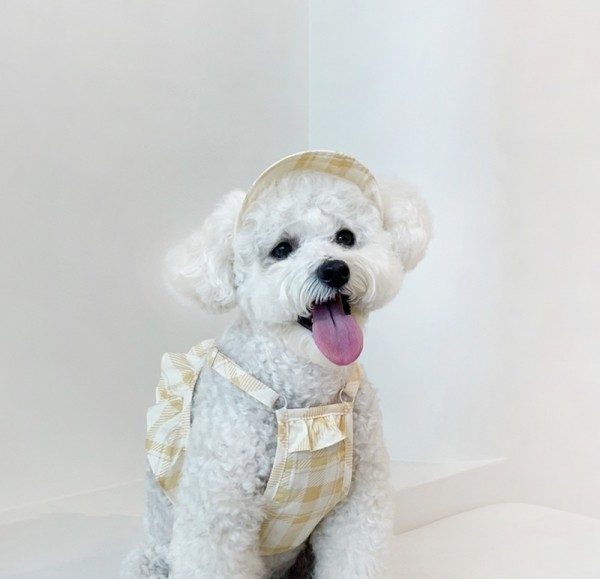 페오펫몰,Creamy puppy hat sun cap 크리미 퍼피햇 썬캡