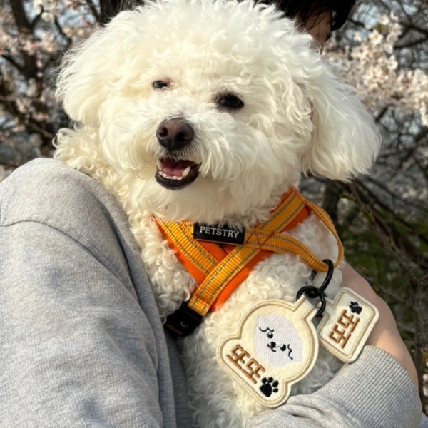 페오펫몰,펫스츄리 커스텀 자수 캐릭터 인식표 이름표 네임텍 멍찰