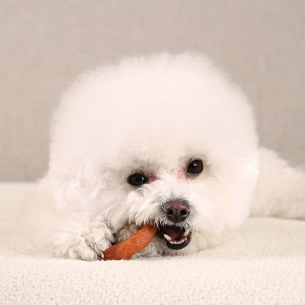 페오펫몰,[페슬러] 그래니스 독 도너츠껌 연어맛 S