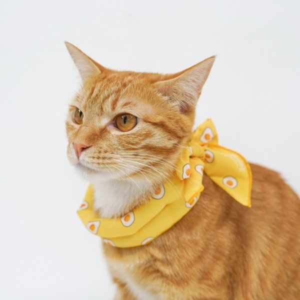 페오펫몰,펫프닝 강아지 쿨스카프 (딸기,계란,당근)