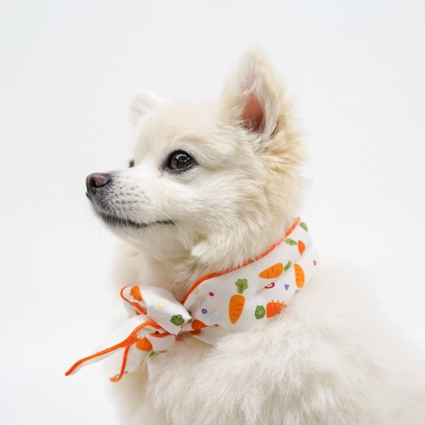 페오펫몰,펫프닝 강아지 쿨스카프 (딸기,계란,당근)