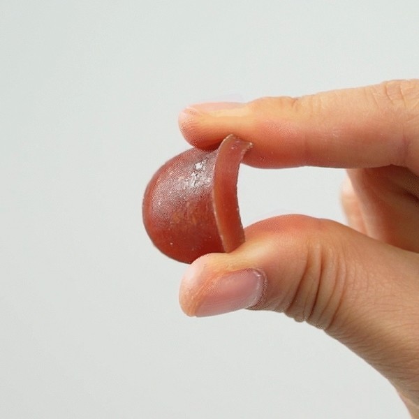 페오펫몰,[페슬러] 저스트져키 강아지 대용량 육포 간식 오리가슴살 칩 454g