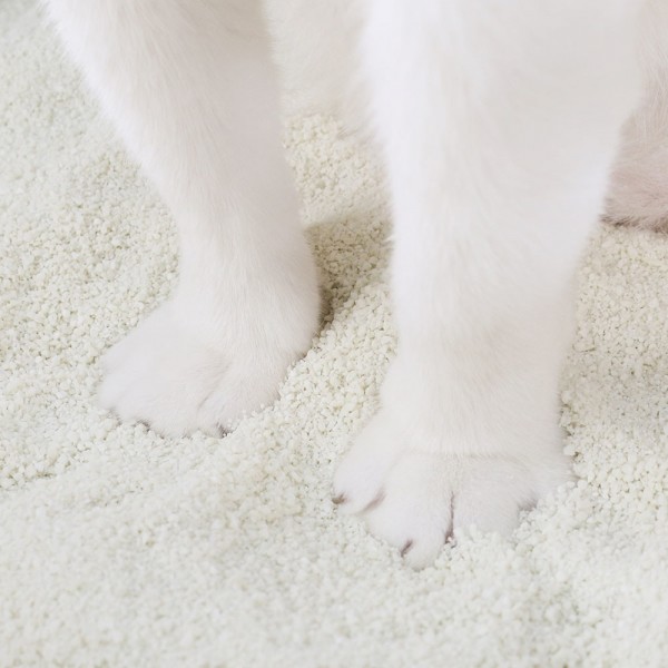 페오펫몰,페슬러 챔피언 카사바 고양이 모래 4.5kg