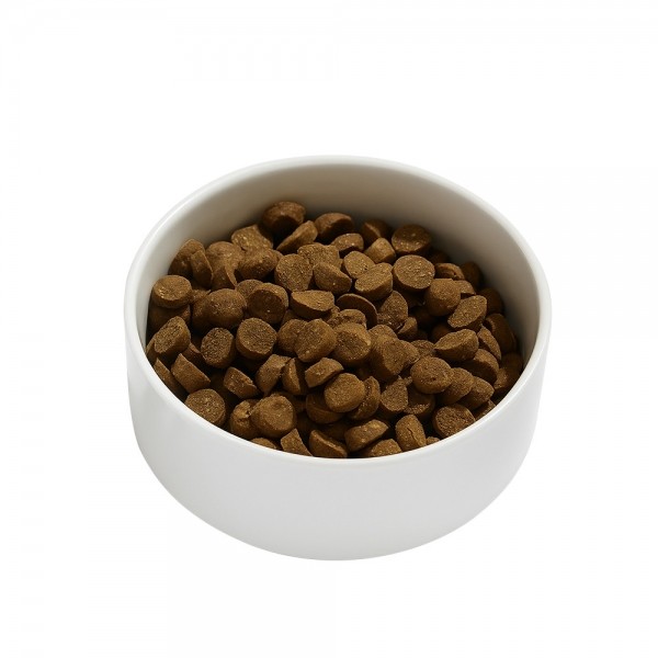 페오펫몰,스크럼블즈 캣 어덜트 시니어 치킨 750g  [10%]