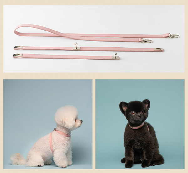 페오펫몰,아에뽀 하네스 셋트