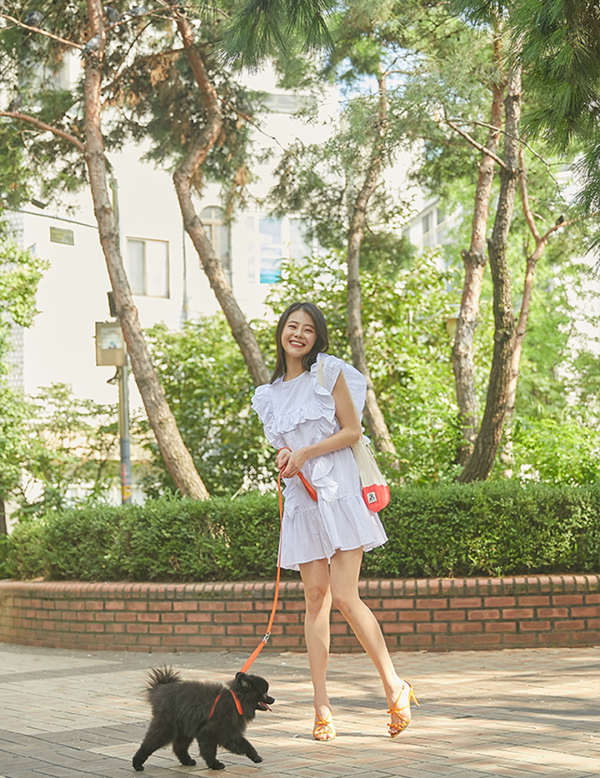 페오펫몰,아에뽀 하네스 셋트