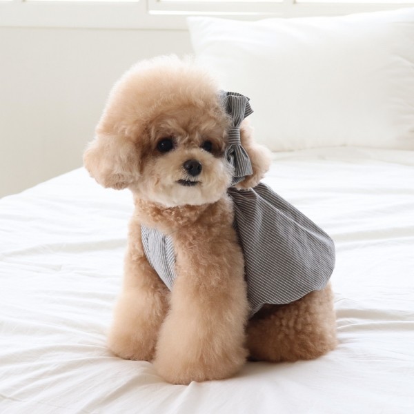 [댕캉스특가] 쉬오트 베이비 벌룬 탑 (차콜)