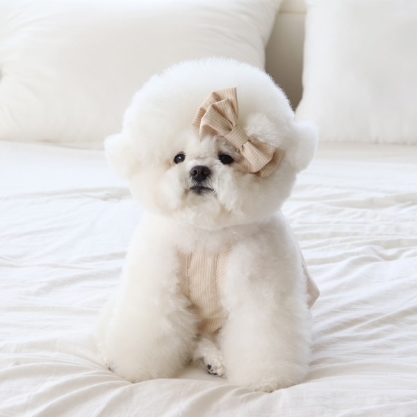 [댕캉스특가] 쉬오트 베이비 벌룬 탑 (버터베이지)