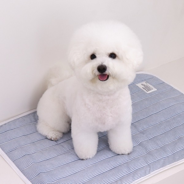 페오펫몰,[댕캉스특가] 쉬오트 리프레쉬 인견 쿨매트(5color)