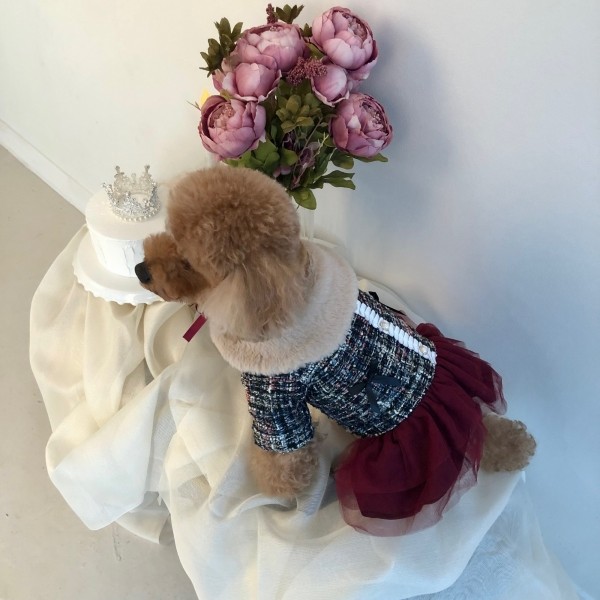 페오펫몰,치어펫 연말 파티의 주인공은 나야나 - 목도리SET /강아지 트위드 원피스