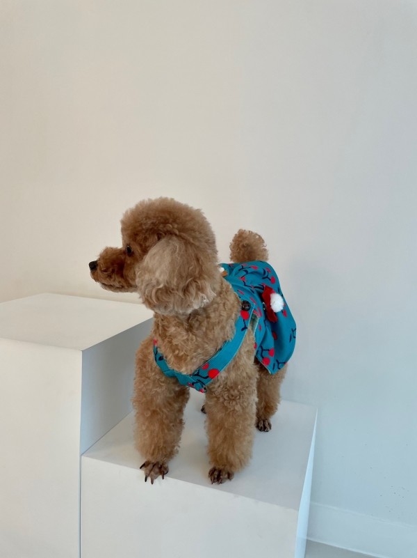 페오펫몰,치어펫 루돌프의 하루 / 크리스마스 강아지옷