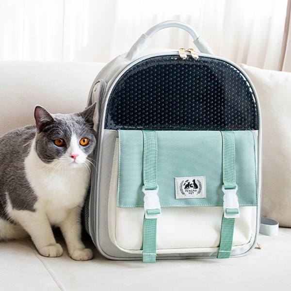 페오펫몰,펫포에버 강아지 고양이 마카롱 백팩 강아지 이동가방