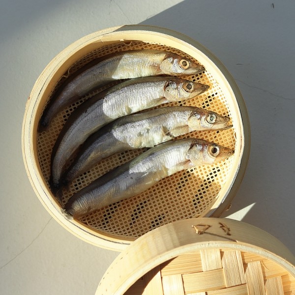 페오펫몰,[오래오래프로젝트] 초대용량 줄줄이스틱 열빙어 (16개입/160g) #낱개포장