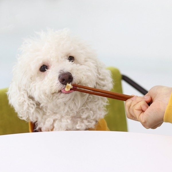 페오펫몰,[오래오래프로젝트] 초대용량 줄줄이스틱 명태 (14개입/210g) #낱개포장