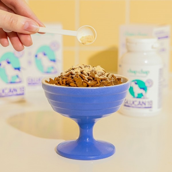 페오펫몰,CARES' 찹찹 영양제 글루텐 10 #기관지 #협착증