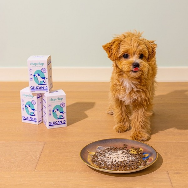 페오펫몰,CARES' 찹찹 영양제 글루텐 10 #기관지 #협착증