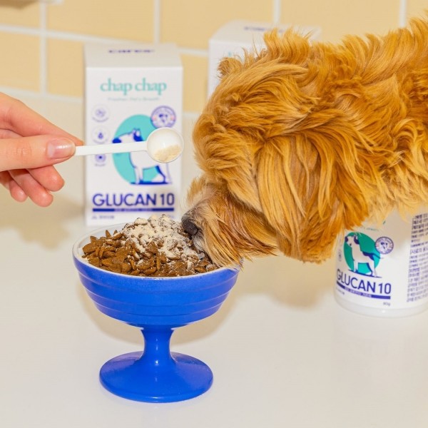 페오펫몰,CARES' 찹찹 영양제 글루텐 10 #기관지 #협착증