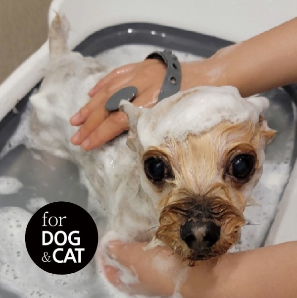 페오펫몰,몬도미오펫 그루밍 마사지장갑 더콤마V2 (고양이빗 강아지브러시 죽은털제거)