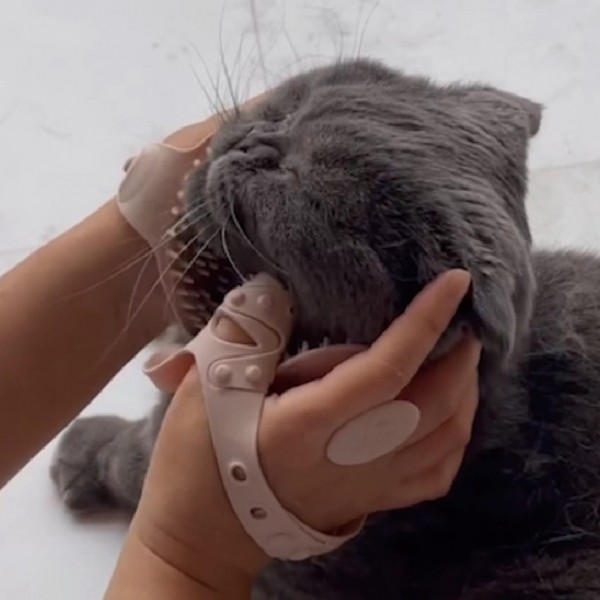 페오펫몰,몬도미오펫 그루밍 마사지장갑 더콤마V2 (고양이빗 강아지브러시 죽은털제거)