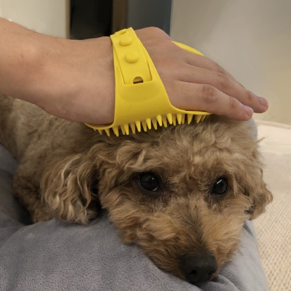 페오펫몰,몬도미오펫 그루밍 마사지장갑 더콤마V2 (고양이빗 강아지브러시 죽은털제거)