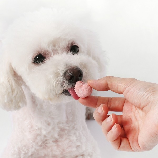 페오펫몰,[알로키친] 강아지 유기농 생과일 요거트 4종 #범산목장 #유산균