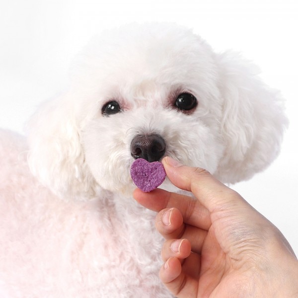 페오펫몰,[알로키친] 강아지 유기농 생과일 요거트 4종 #범산목장 #유산균