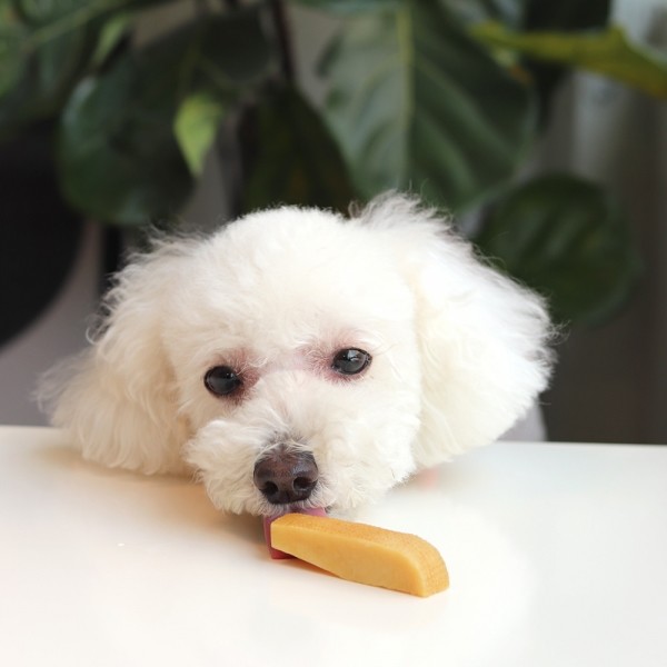 페오펫몰,[오래오래프로젝트] 히말라야 야크치즈 M